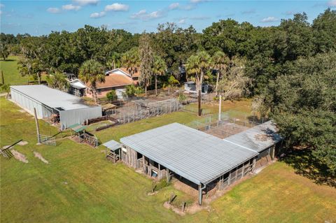 A home in PLANT CITY