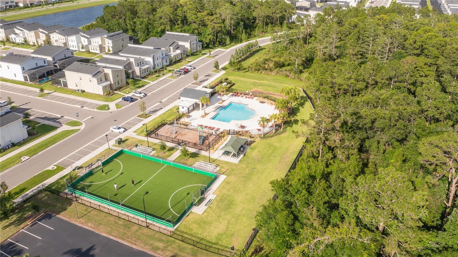 COVE AT STOREY LAKE 4 - Residential