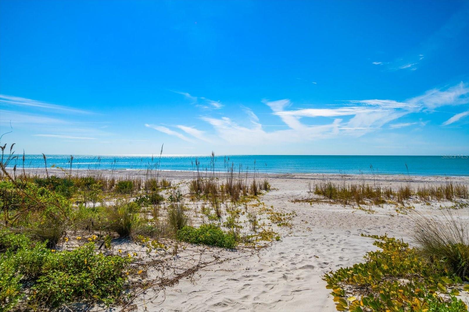 LONE PALM BEACH - Residential