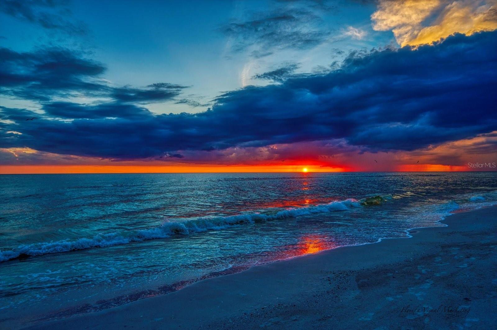 LONE PALM BEACH - Residential