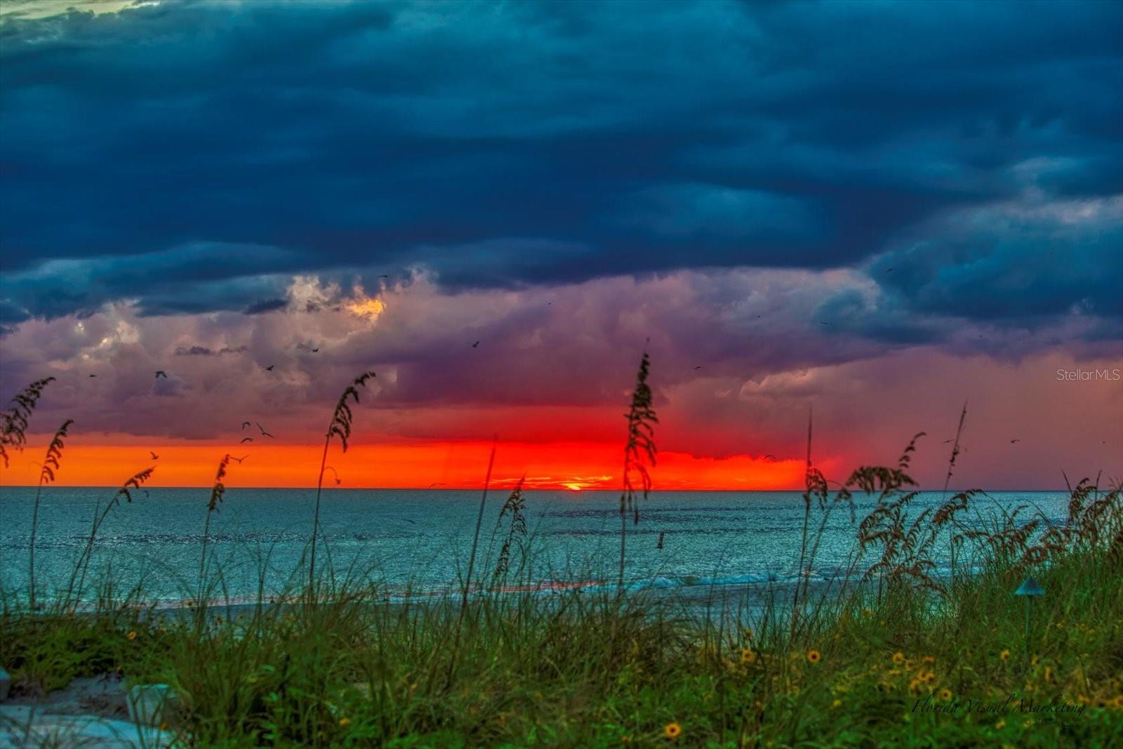 LONE PALM BEACH - Residential