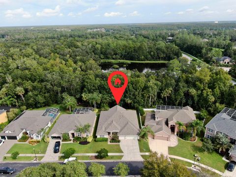 A home in WESLEY CHAPEL