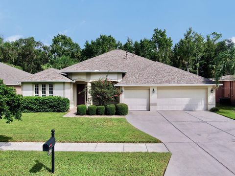 A home in WESLEY CHAPEL