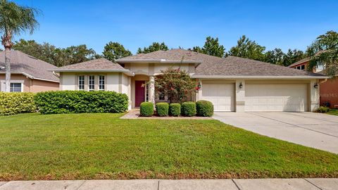 A home in WESLEY CHAPEL