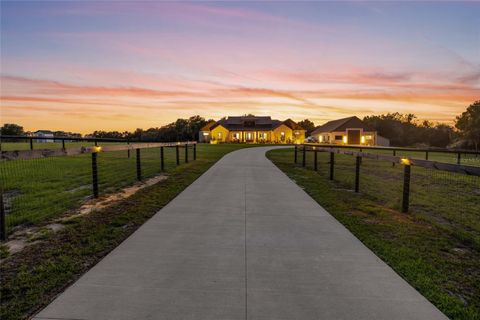 Tiny photo for 3888 SW 140th Avenue, Ocala, FL 34481 (MLS # OM722586)