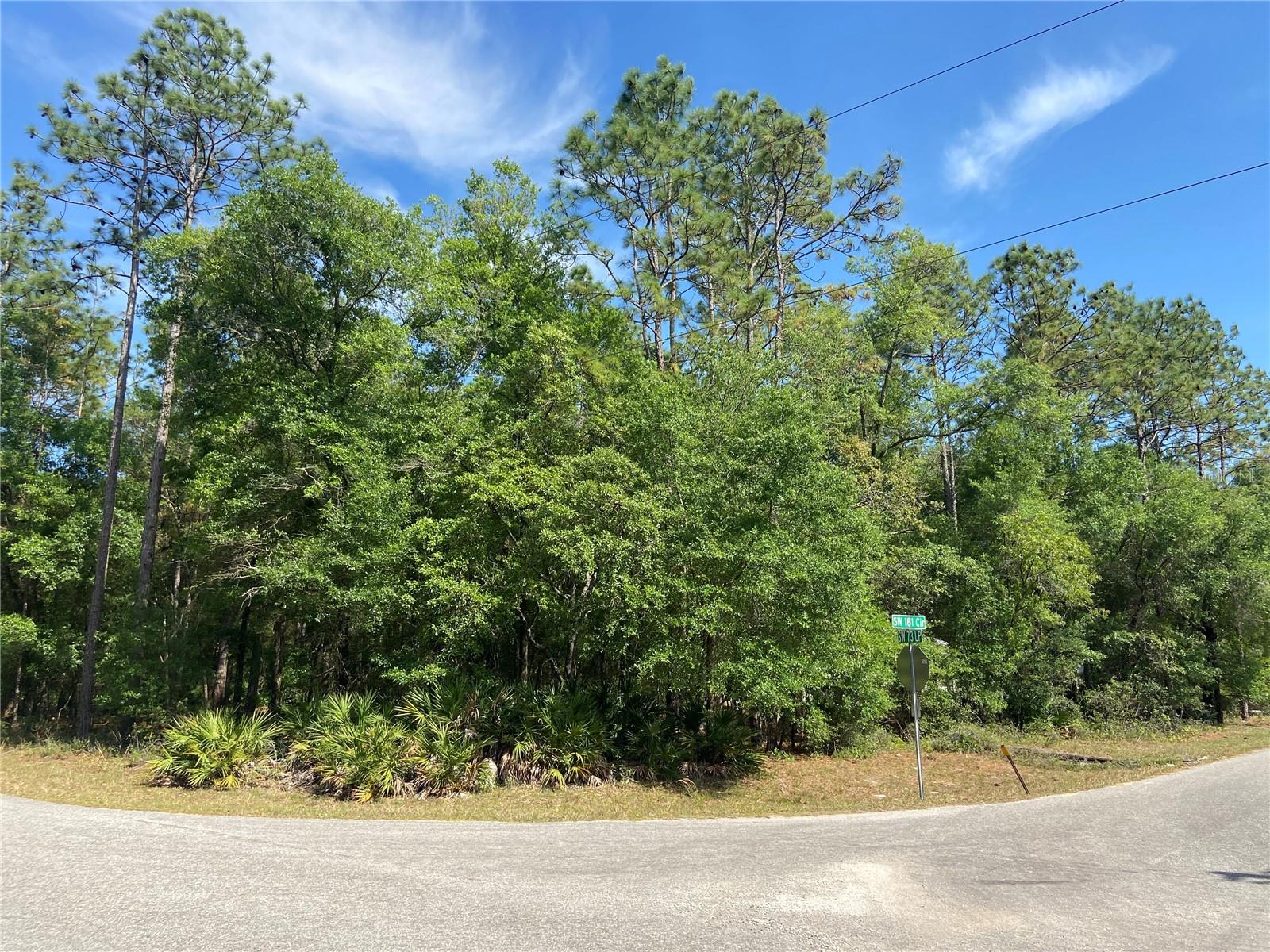 WELCOME TO THE FOREST AT RAINBOW SPRINGS. DON'T MISS THIS AMAZING OPPORTUNITY TO PURCHASE AN OVERSIZED LOT IN THE HIGHLY SOUGHT AFTER COMMUNUNITY OF THE VILLAGES OF RAINBOW SPRINGS. THIS 1.11 ACRE LOT IS LOCATED IN THE FOREST ,IS FLAT AND LEVEL AND SITS ON A CORNER LOT LEAVING YOU WITH AN OPPORTUNITY TO BUILD YOUR DREAM HOME FACING EITHER WEST OR NORTH. THIS COMMUNITY HAS THE TREASURE OF ALL TREASURES WITH A PRIVATE RESIDENT PARK LOCATED ON 3 ACRES JUST SOUTH OF THE RAINBOW SPRINGS STATE PARK. THE PRIVATE PARK HAS TWO LARGE PAVILLIONS, BARBECUE GRILLS, TWO BATHROOM, OUTDOOR SHOWER, KAYAK/CANOE LAUNCH AND A SWIMMING AREA. THE AMENITIES ALSO INCLUDES A COMMUNITY CENTER WITH A DINE IN RESTAURANT, COMMUNITY SWIMMING POOL, BOCCE BALL, PICKLEBALL, TENNIS, BASKETBALL, DRIVING RANGE AND DISC GOLF. THIS IDEAL LOCATION PLACES YOU AT THE DOORSTEP OF SMALLTOWN LIVING. OCALA IS JUST A 30-MINUTE DRIVE AND GAINSVILLE IS LESS THAT AN HOUR. TAMPA AND ORLANDO ARE OUR CLOSEST CITY CENTERS WITHIN A 2-HOUR DRIVE. COME BUILD YOU DREAM HOME ENJOY FLORIDA LIVING IN THIS VERY SPECIAL PLACE.