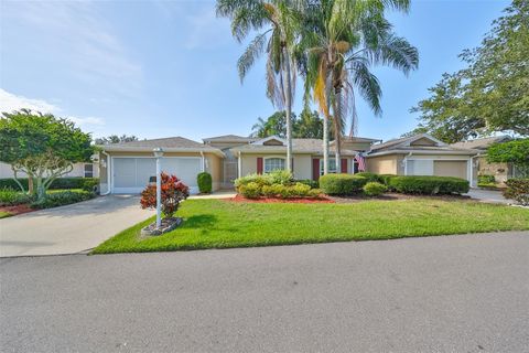 A home in SUN CITY CENTER