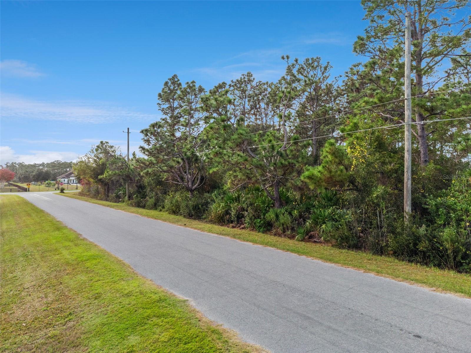 CAPE ORLANDO ESTATES - Land