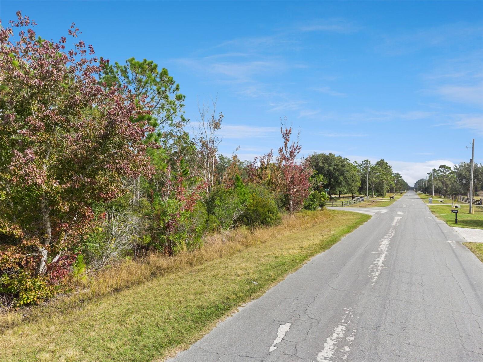 CAPE ORLANDO ESTATES - Land