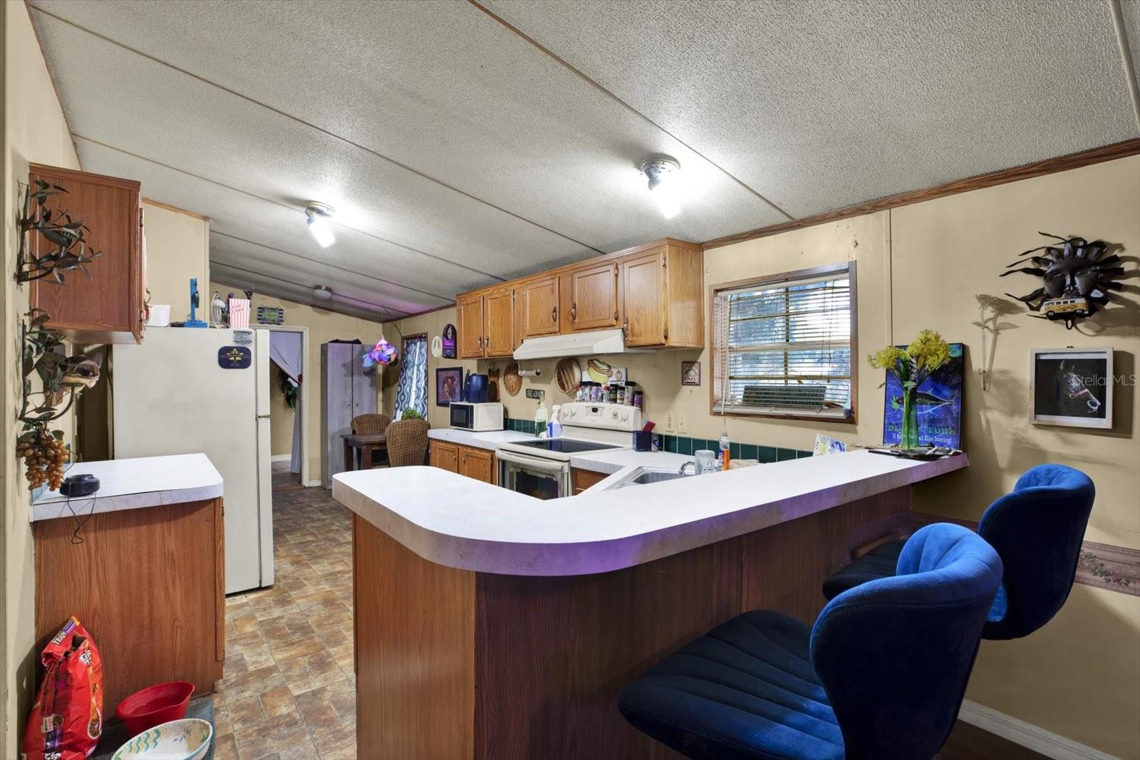 ZEPHYRYHILLS COLONY CO LANDS - Residential