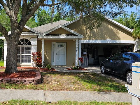 A home in WESLEY CHAPEL