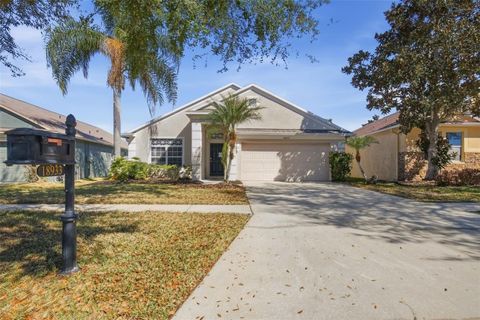 Photo of 18933 New Passage Boulevard, Land O Lakes, FL 34638 (MLS # O6385724)