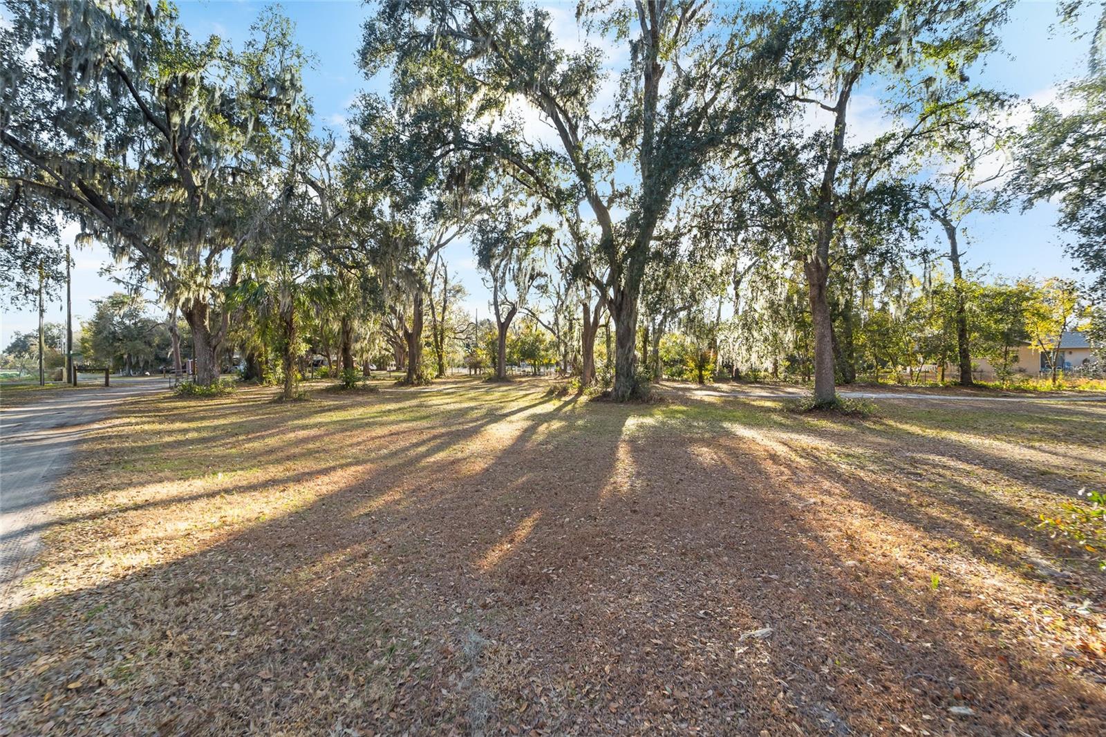 MOCKINGBIRD RESERVE - Land