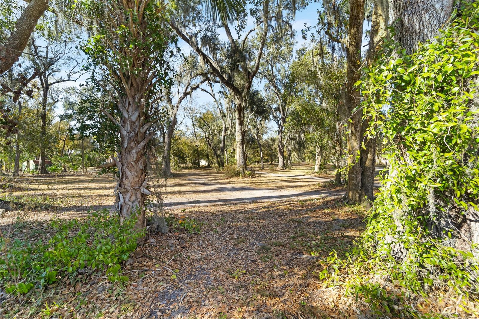 MOCKINGBIRD RESERVE - Land