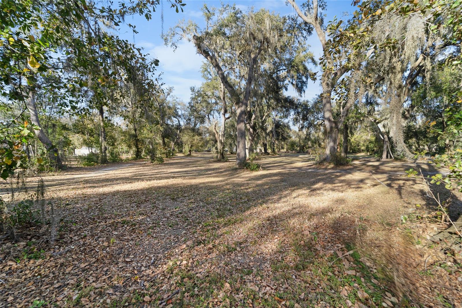 MOCKINGBIRD RESERVE - Land