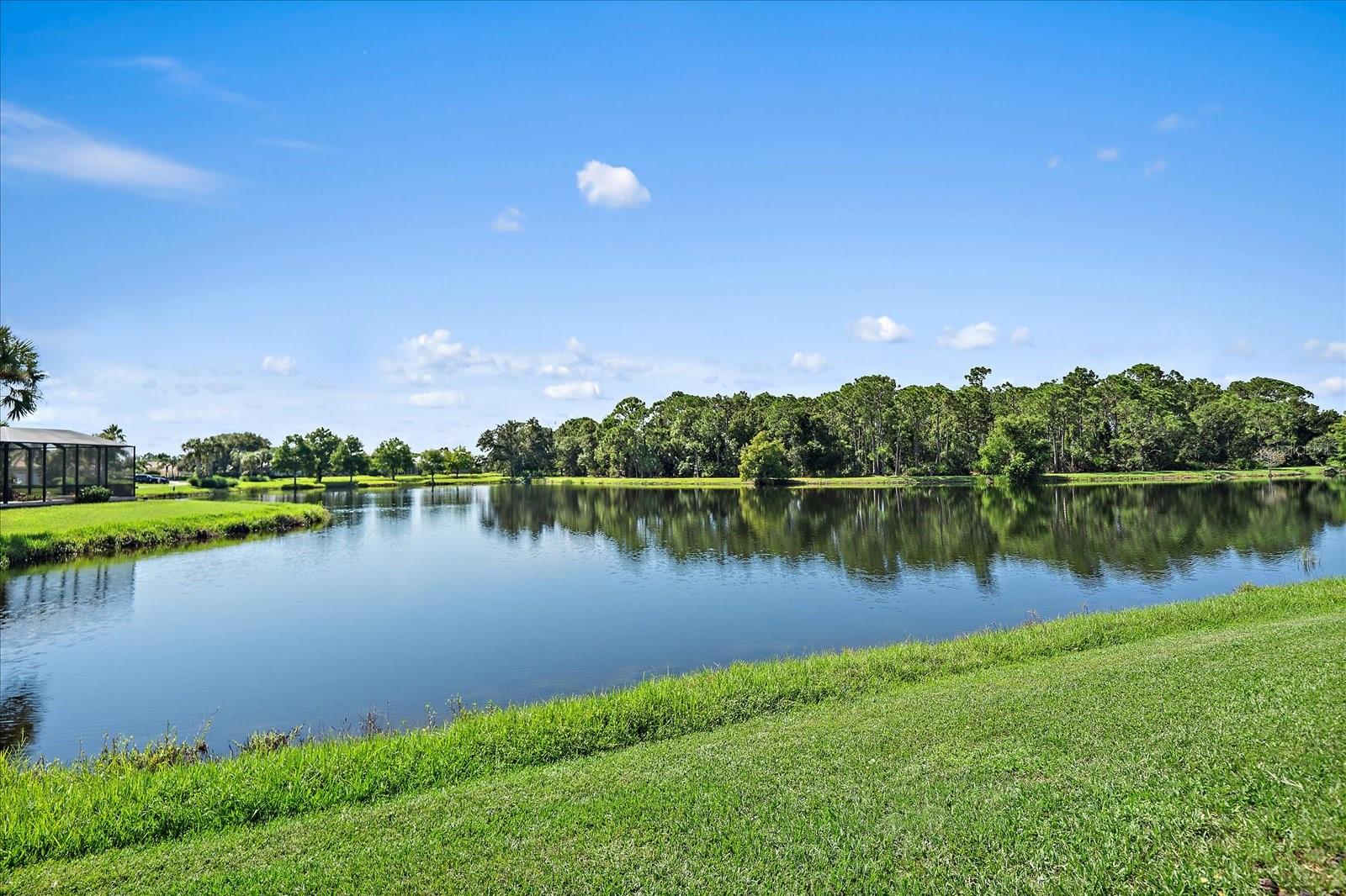 RIVENDELL WOODLANDS - Residential