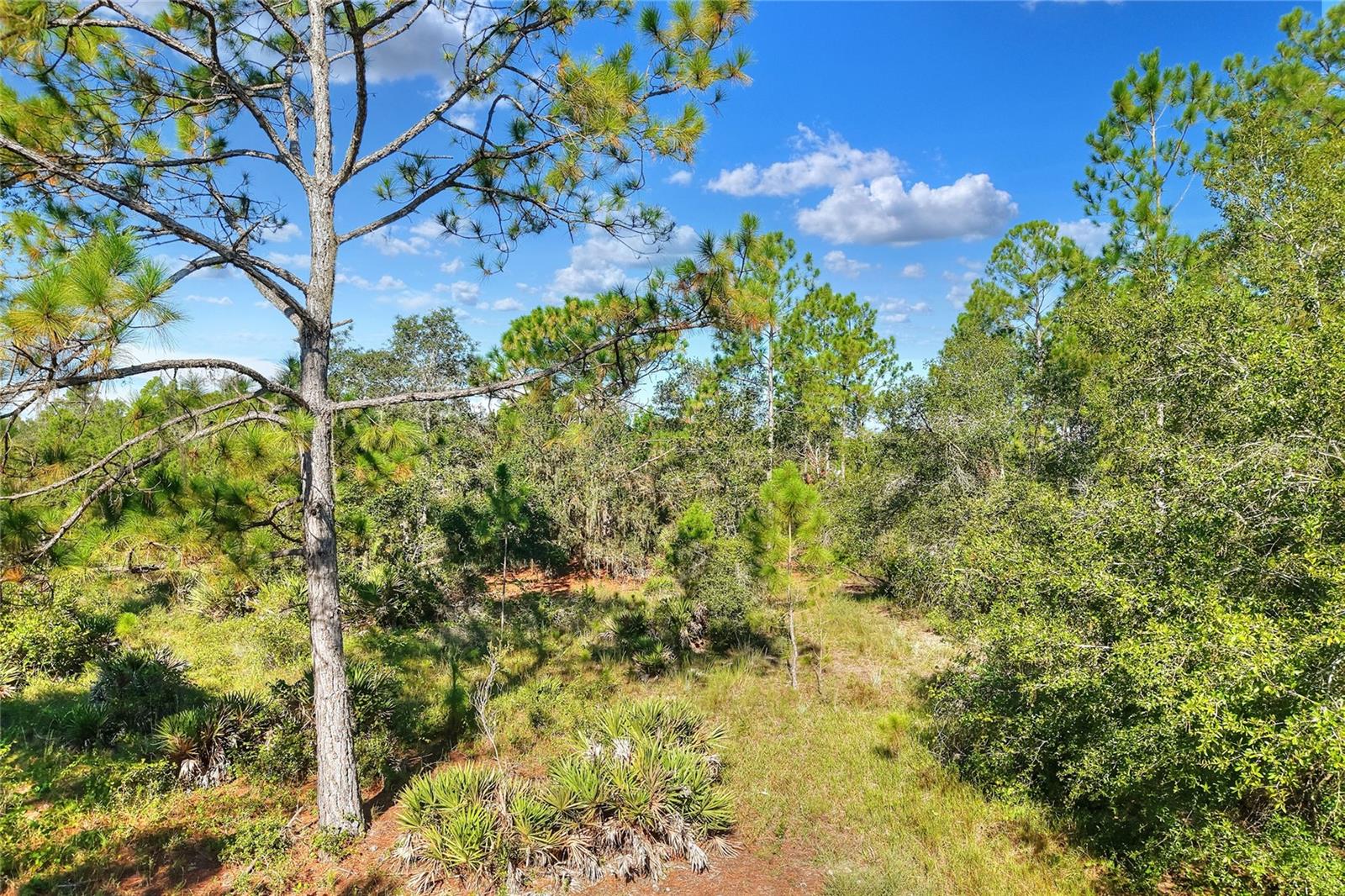 OAKRIDGE ESTATES - Residential