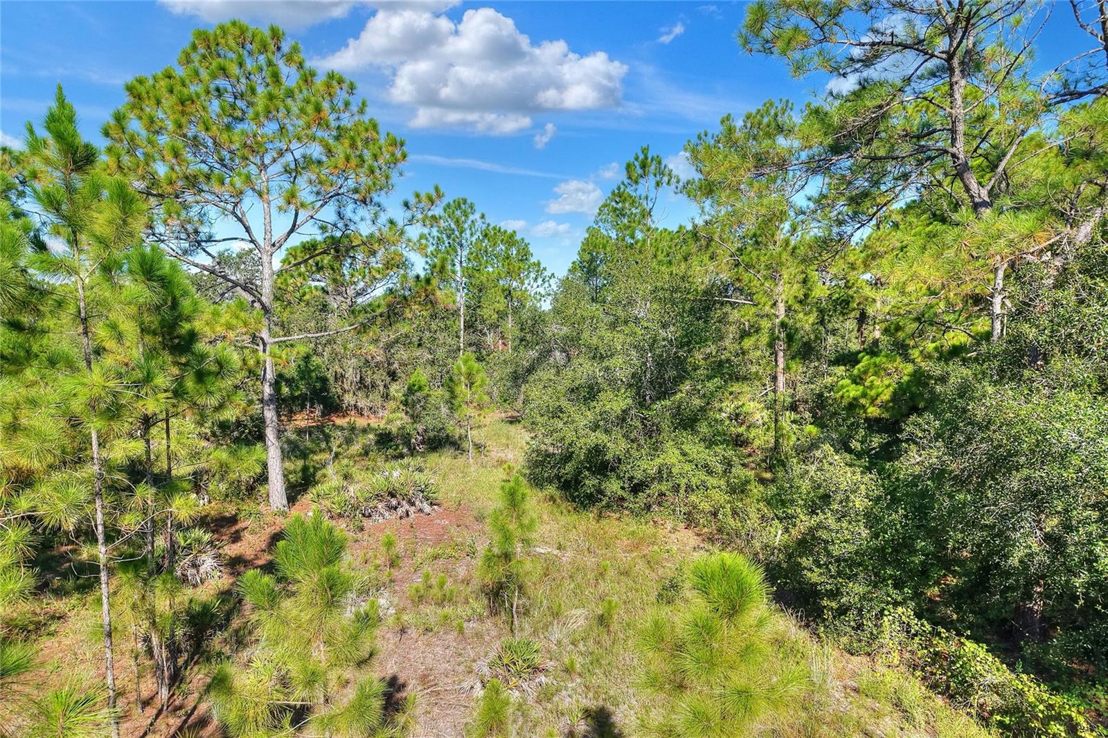 OAKRIDGE ESTATES - Residential