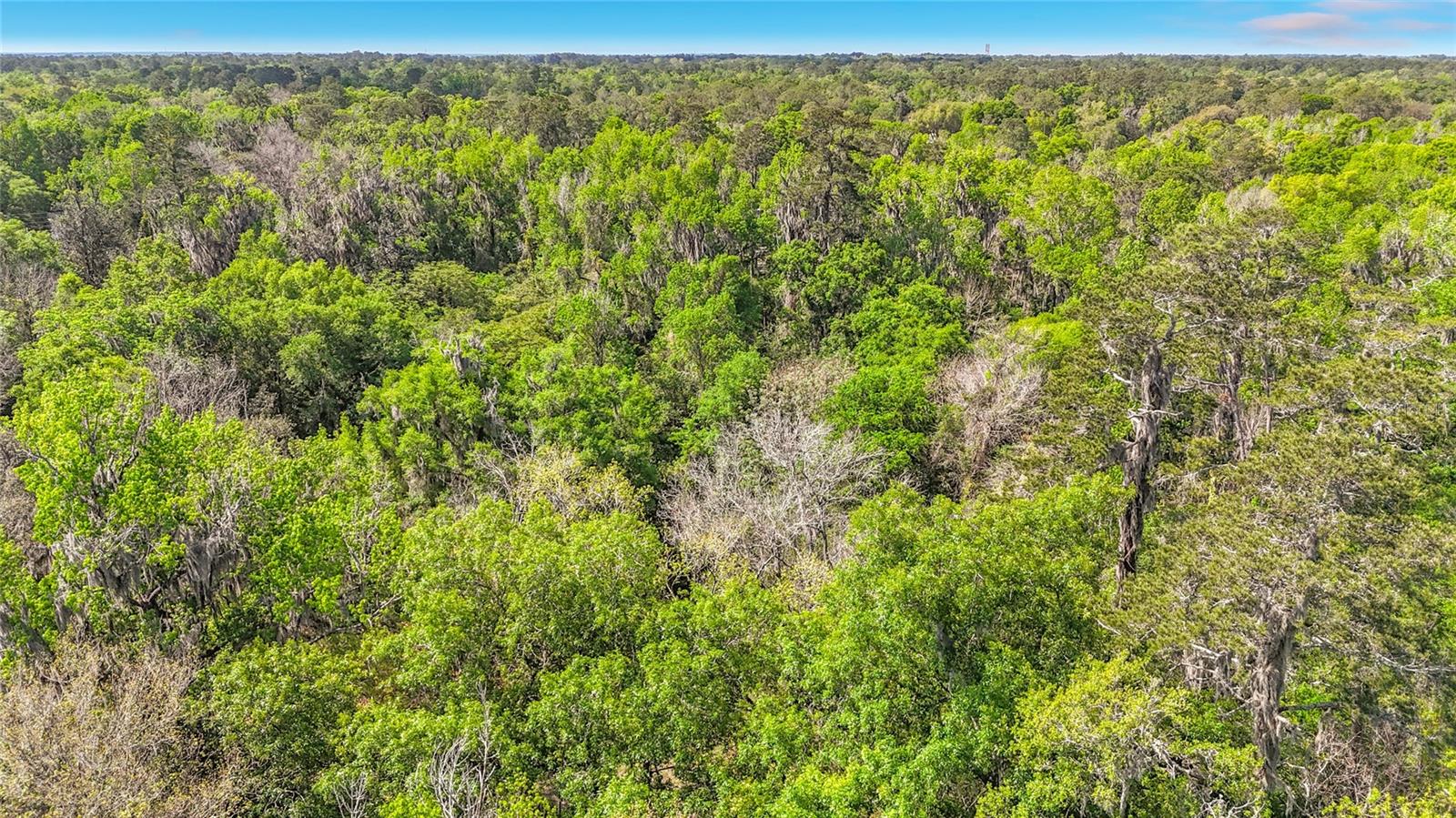 NOT IN SUBDIVISION - Land