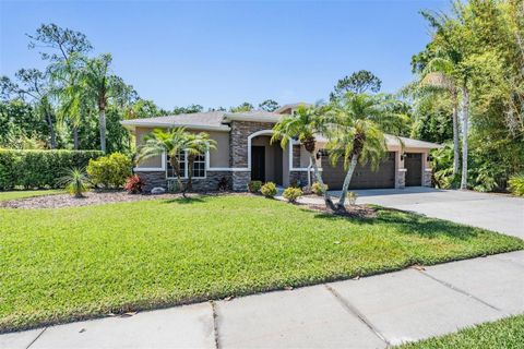 12801 CASTLEMAINE DRIVE TAMPA FL 33626