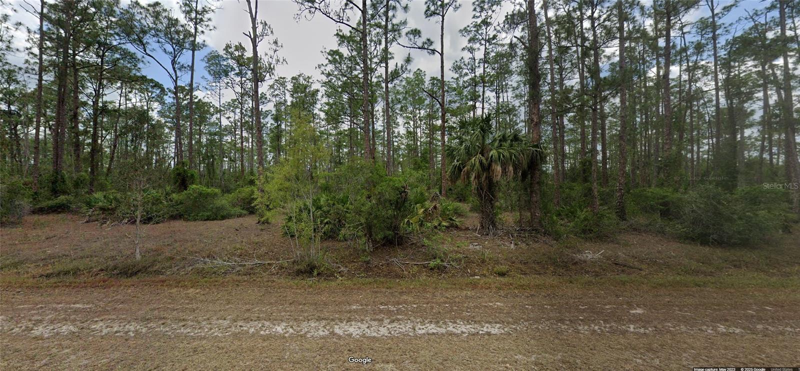 one acre divided in two half plots (Lot 20 and 21)