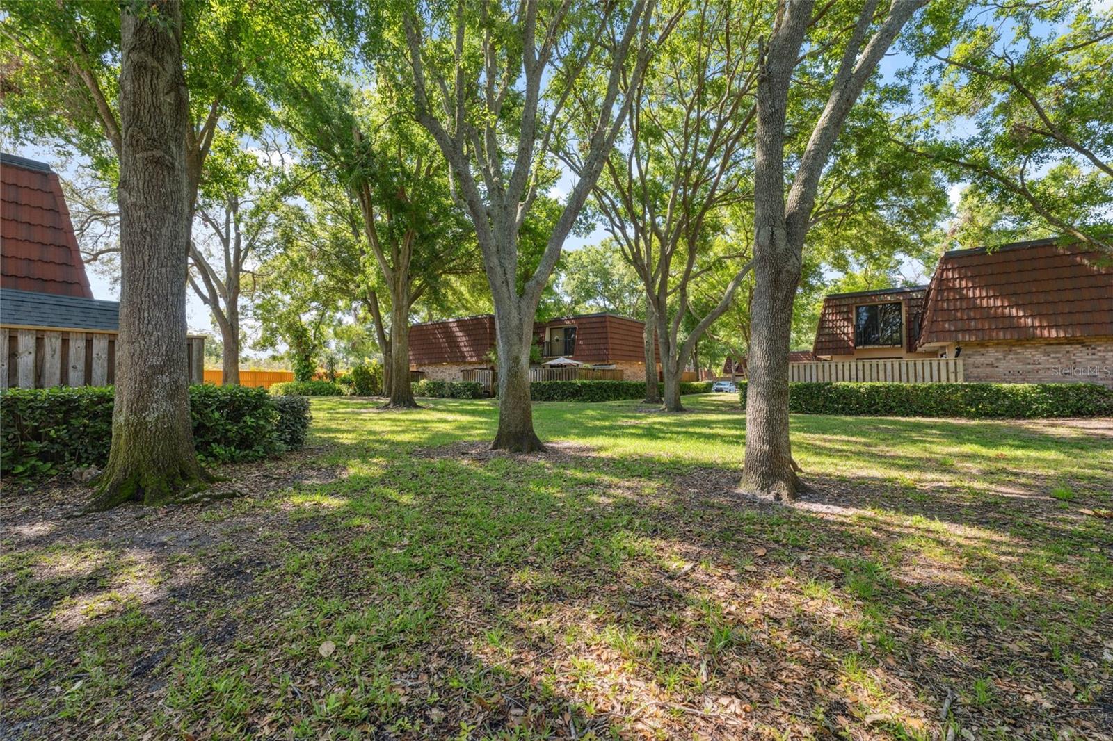 WEDGE WOOD OF PALM HARBOR - Residential