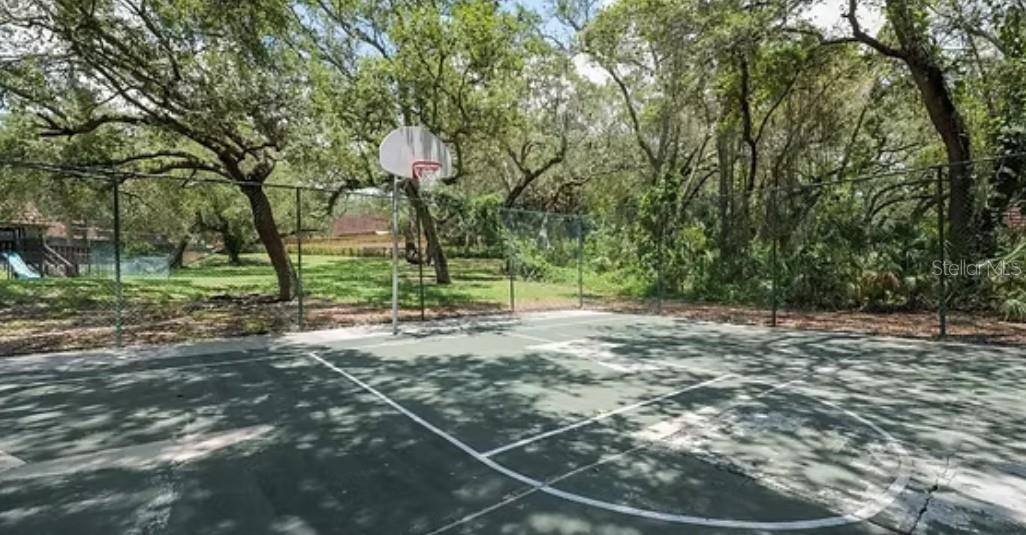 WEDGE WOOD OF PALM HARBOR - Residential