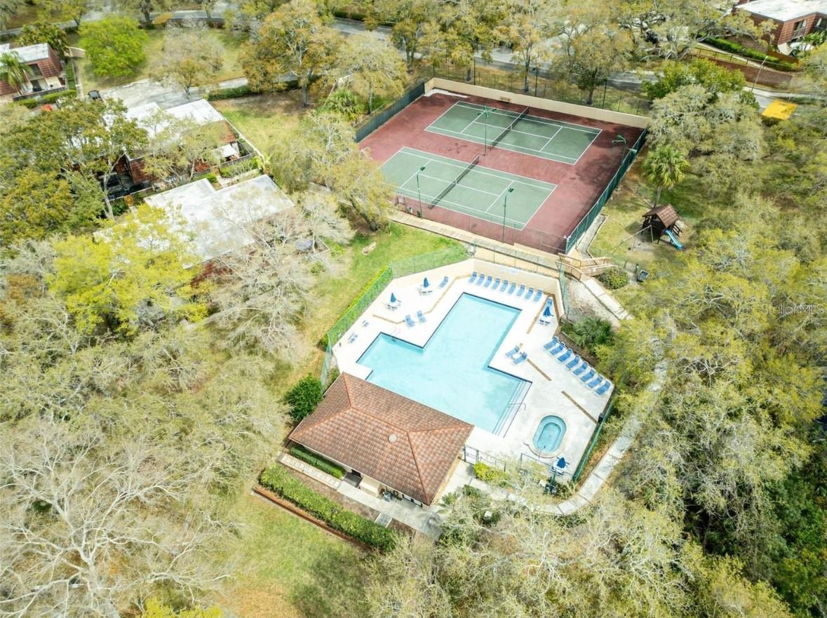 WEDGE WOOD OF PALM HARBOR - Residential