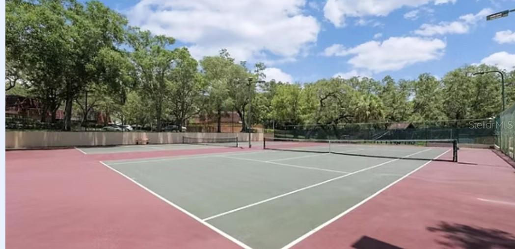 WEDGE WOOD OF PALM HARBOR - Residential