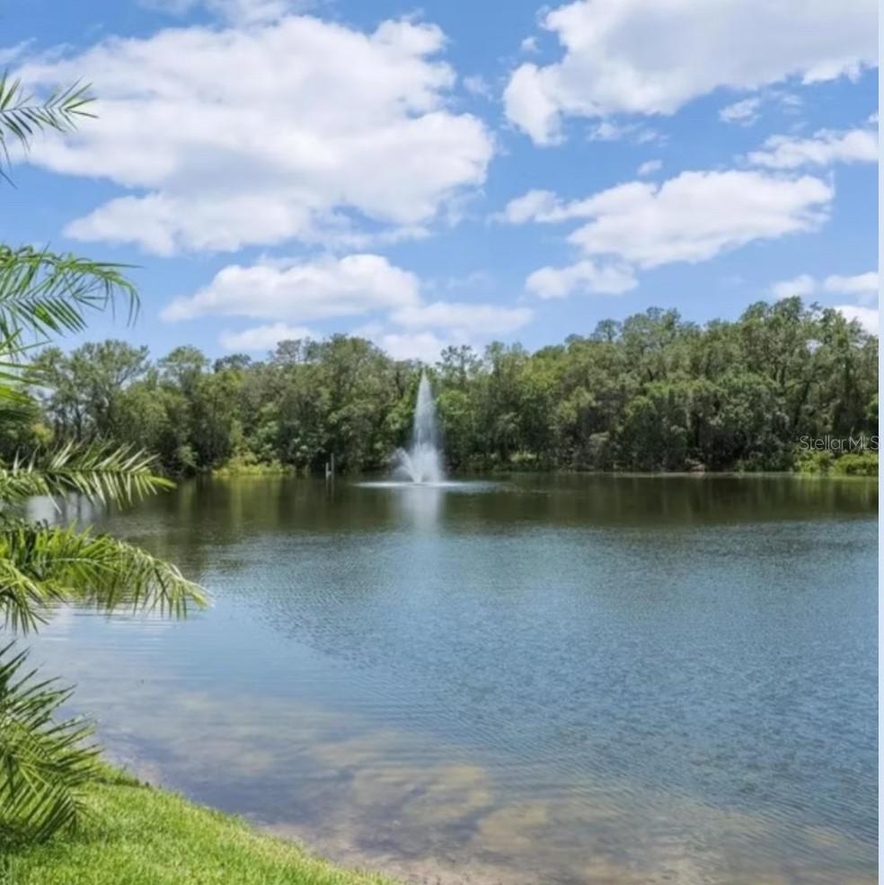WEDGE WOOD OF PALM HARBOR - Residential