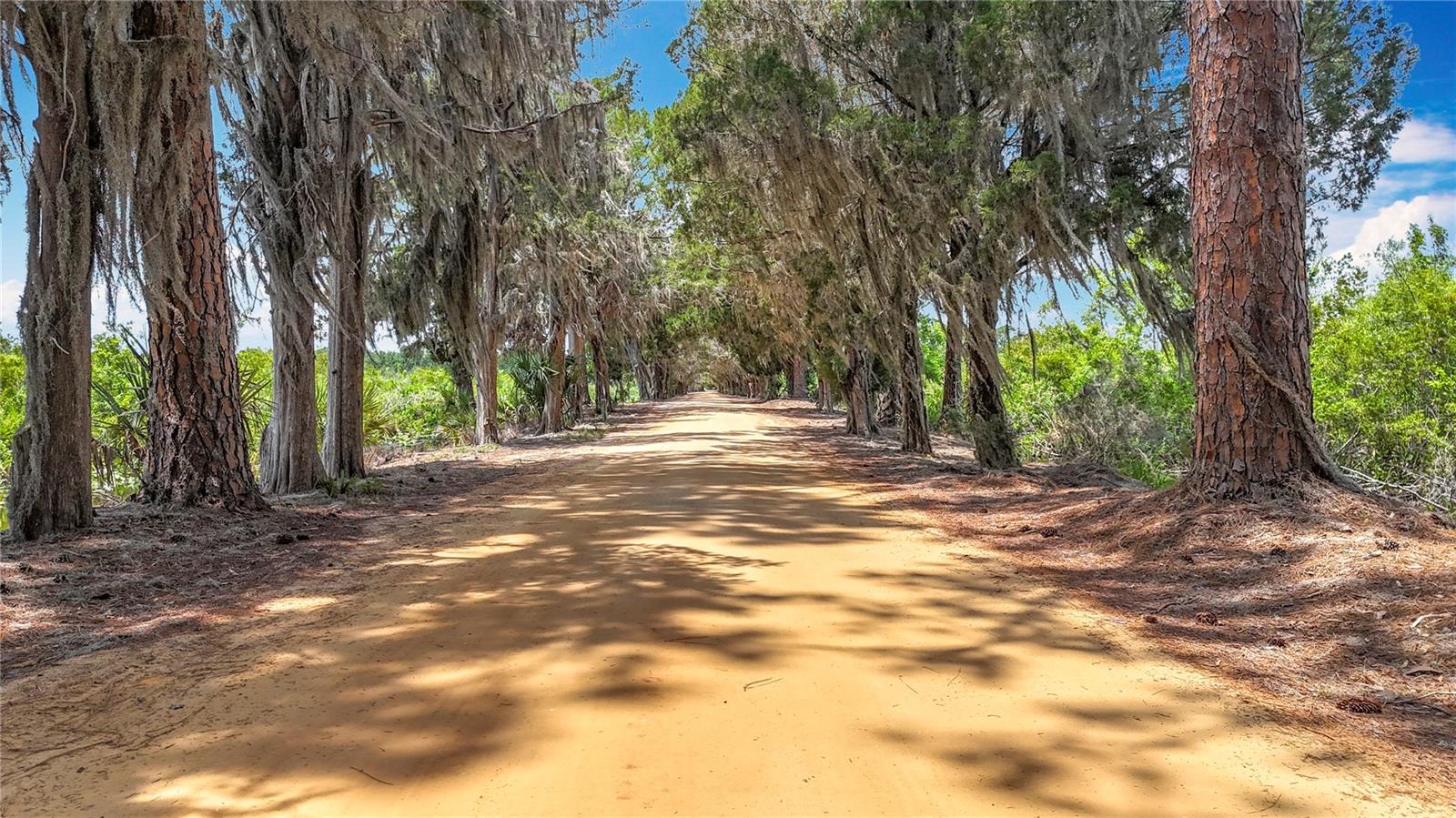 BIG PINE ISLAND SUB - Residential