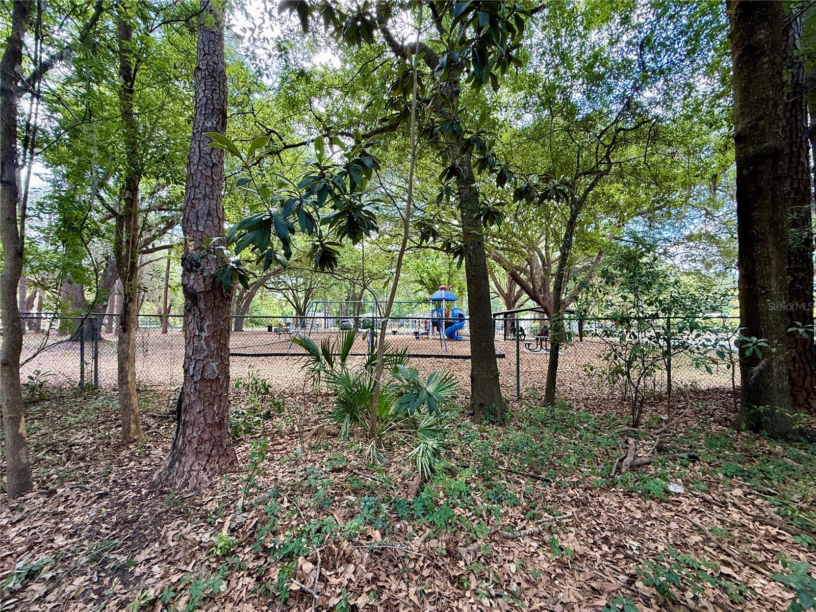NEW GAINESVILLE - Residential