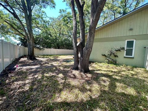 A home in PALM HARBOR