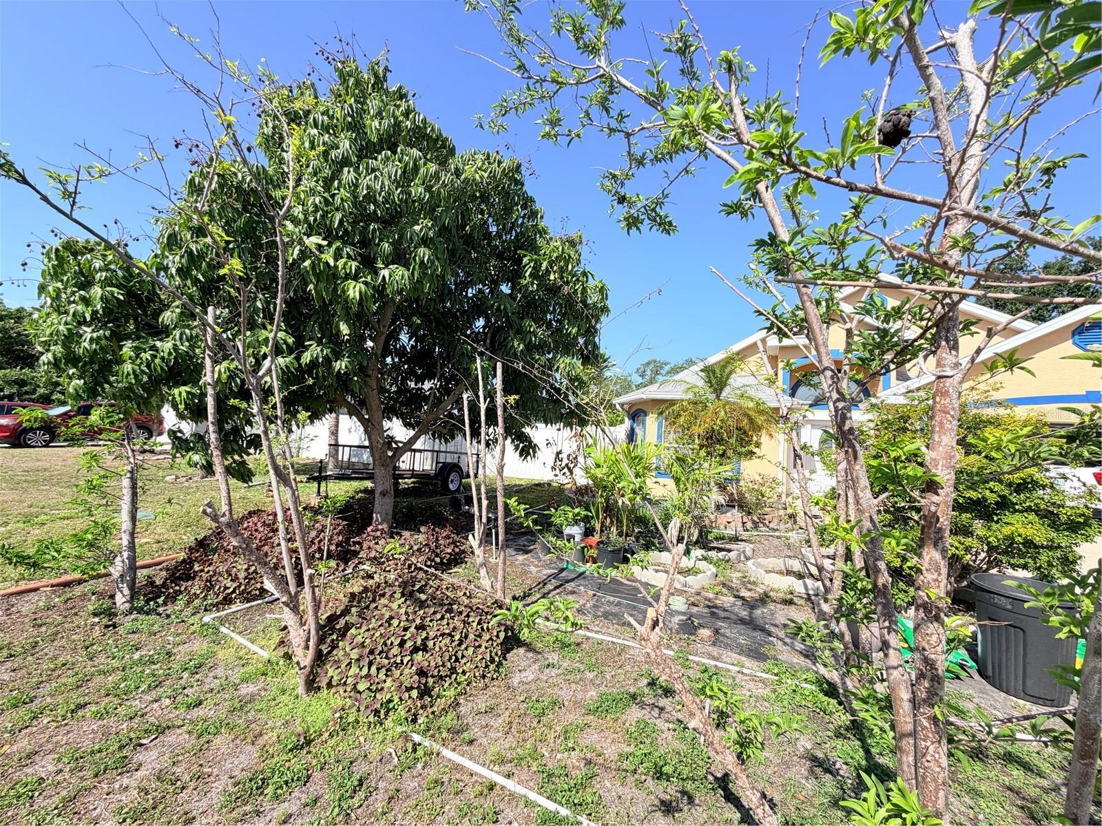 LOFTY PINE ESTATES - Residential