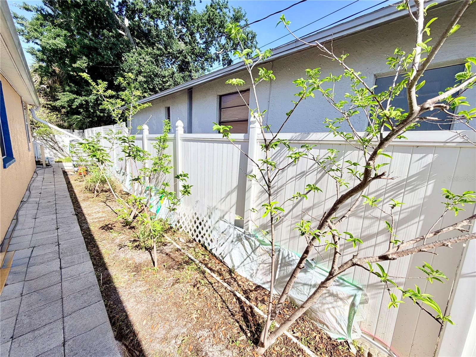 LOFTY PINE ESTATES - Residential