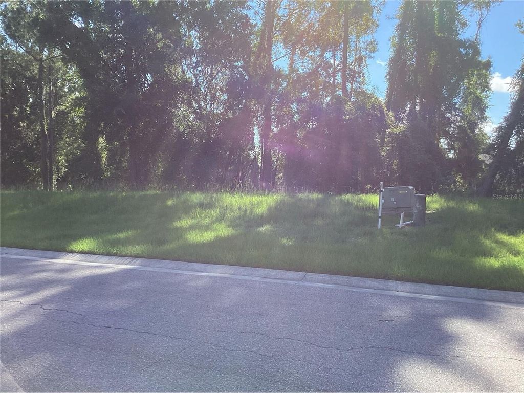 Photo of 4625 Majestic Hills Loop, Brooksville, FL 34601 (MLS # L4958939)