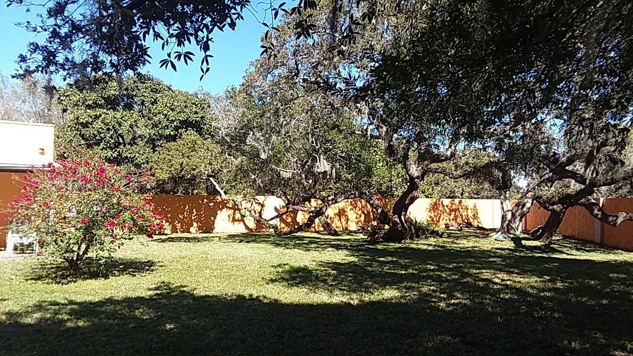 322 BUENA VISTA AVENUE