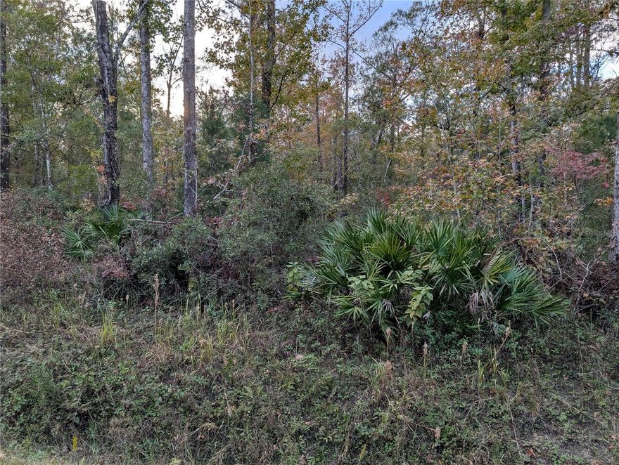 Country Living: This area is so quiet that all you can hear is the wildlife and wind rustling the leaves in the trees. Build your new home here and bring your toys, RVs, boats, and animals for everyone to enjoy. It's an easy drive to Palatka, St Augustine, and Palm Coast. This lot is 1.14 acres and very private; the closest neighbor is three lots away. The lot across the street at 10655 Turpin Ave is also for sale. A wetland study for both lots is on file. A septic and well will be needed, which are the buyer's responsibility when they build.