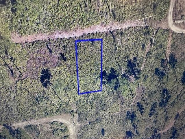 Photo of 18086 12th Avenue, Orlando, FL 32833 (MLS # O6447983)