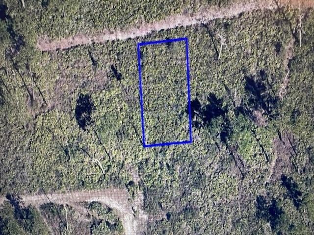 Photo of 18086 12th Avenue, Orlando, FL 32833 (MLS # O6447983)