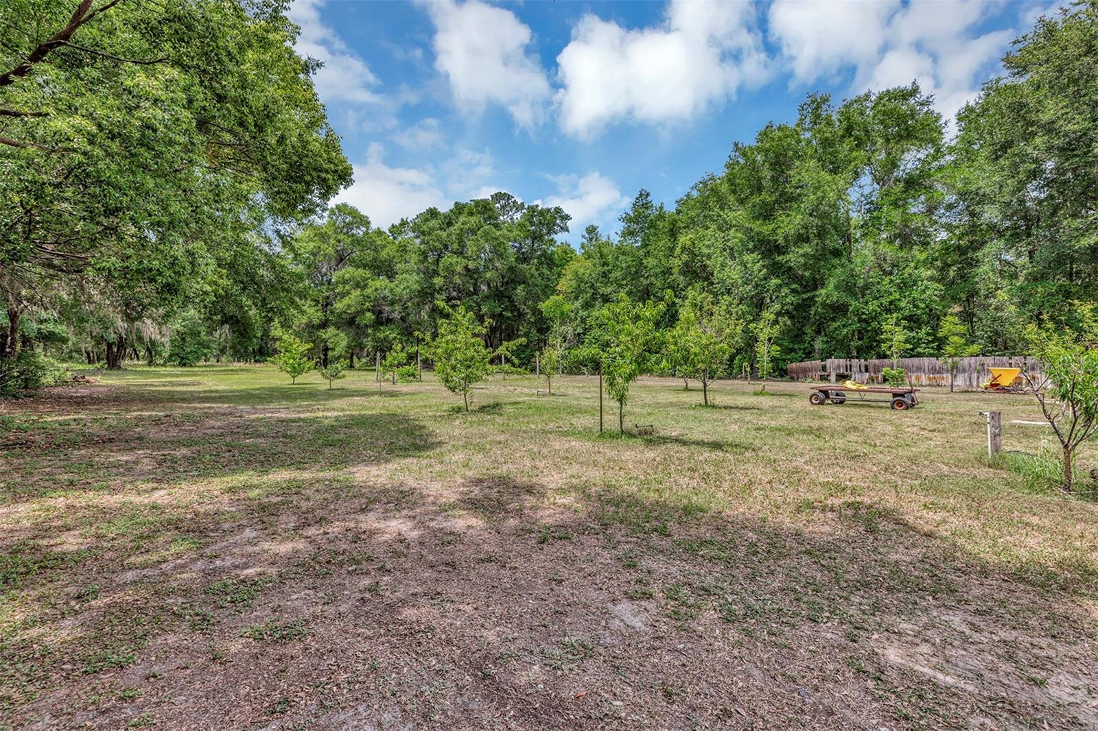 APOPKA RANCHES - Residential