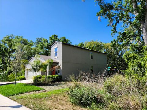 A home in RUSKIN