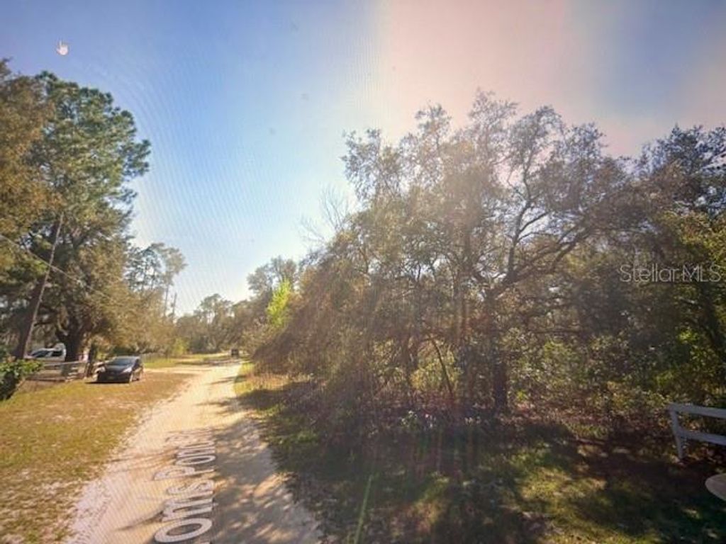 Photo of Toms Pond Road, Eustis, FL 32726 (MLS # O6369690)
