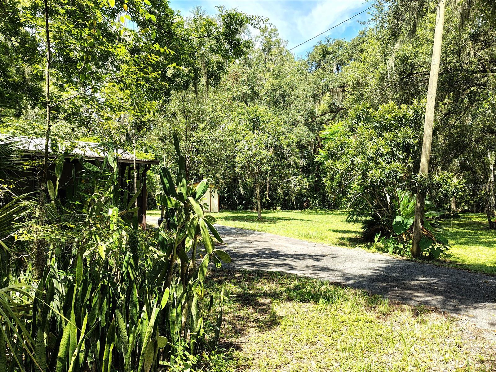 OLIVE PALM COMM UNRECO RDED SUB - Residential