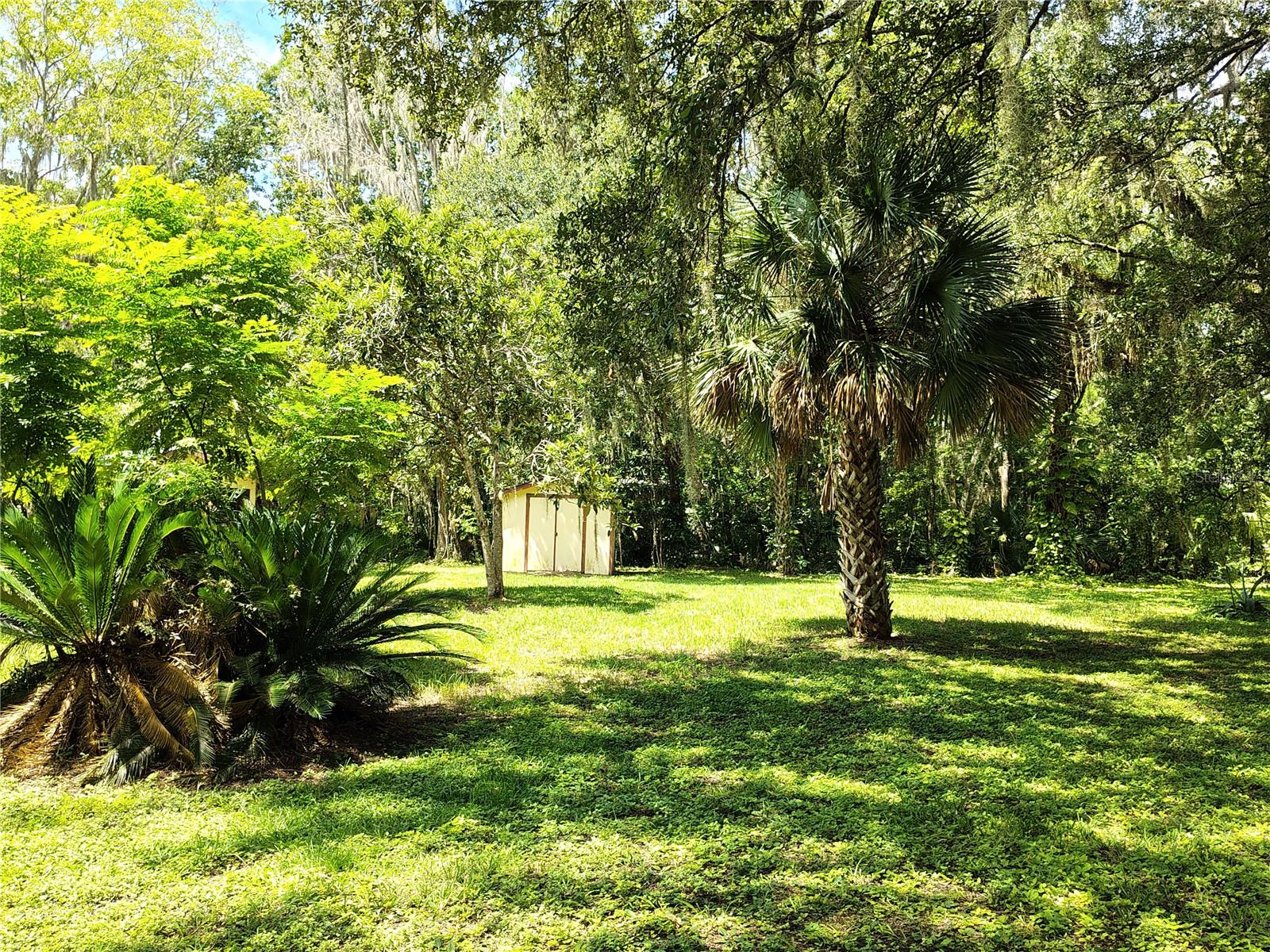 OLIVE PALM COMM UNRECO RDED SUB - Residential