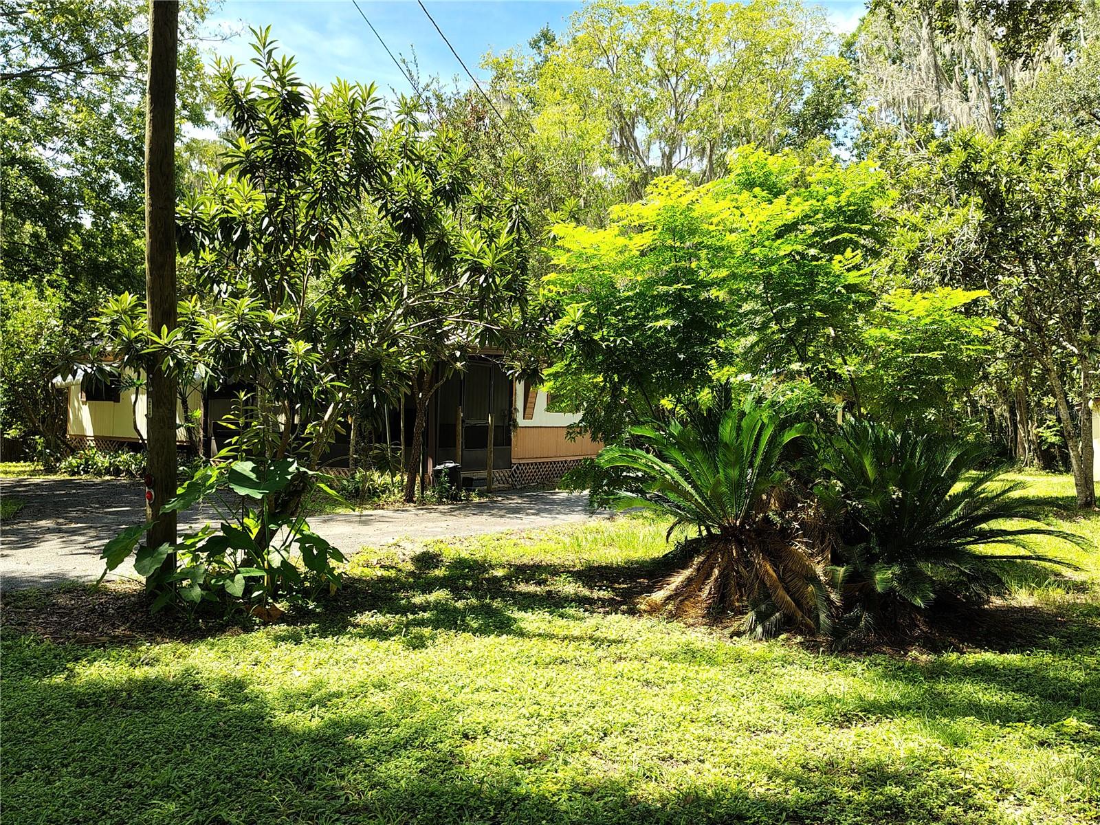OLIVE PALM COMM UNRECO RDED SUB - Residential