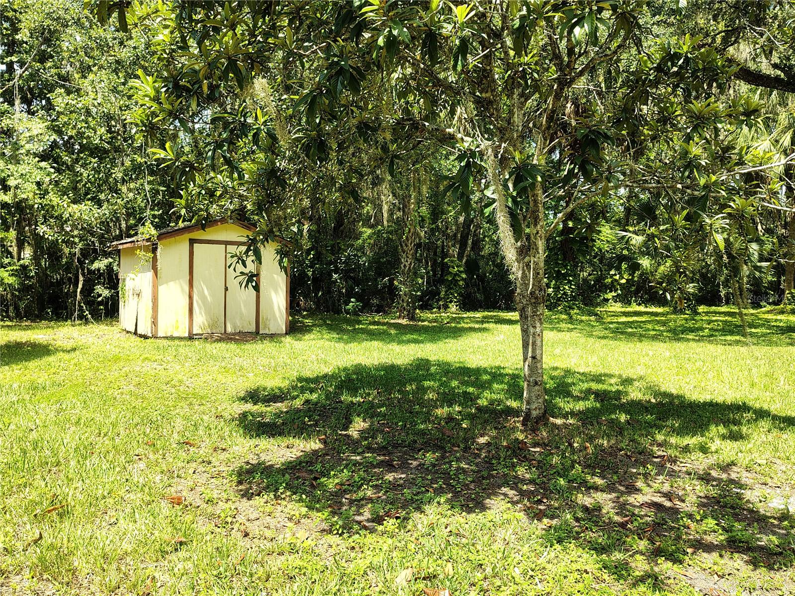 OLIVE PALM COMM UNRECO RDED SUB - Residential