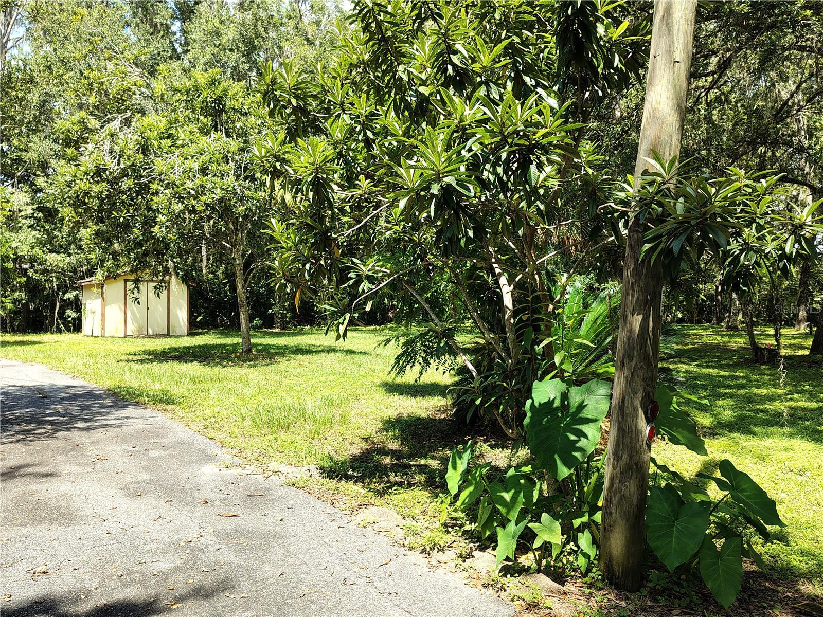 OLIVE PALM COMM UNRECO RDED SUB - Residential