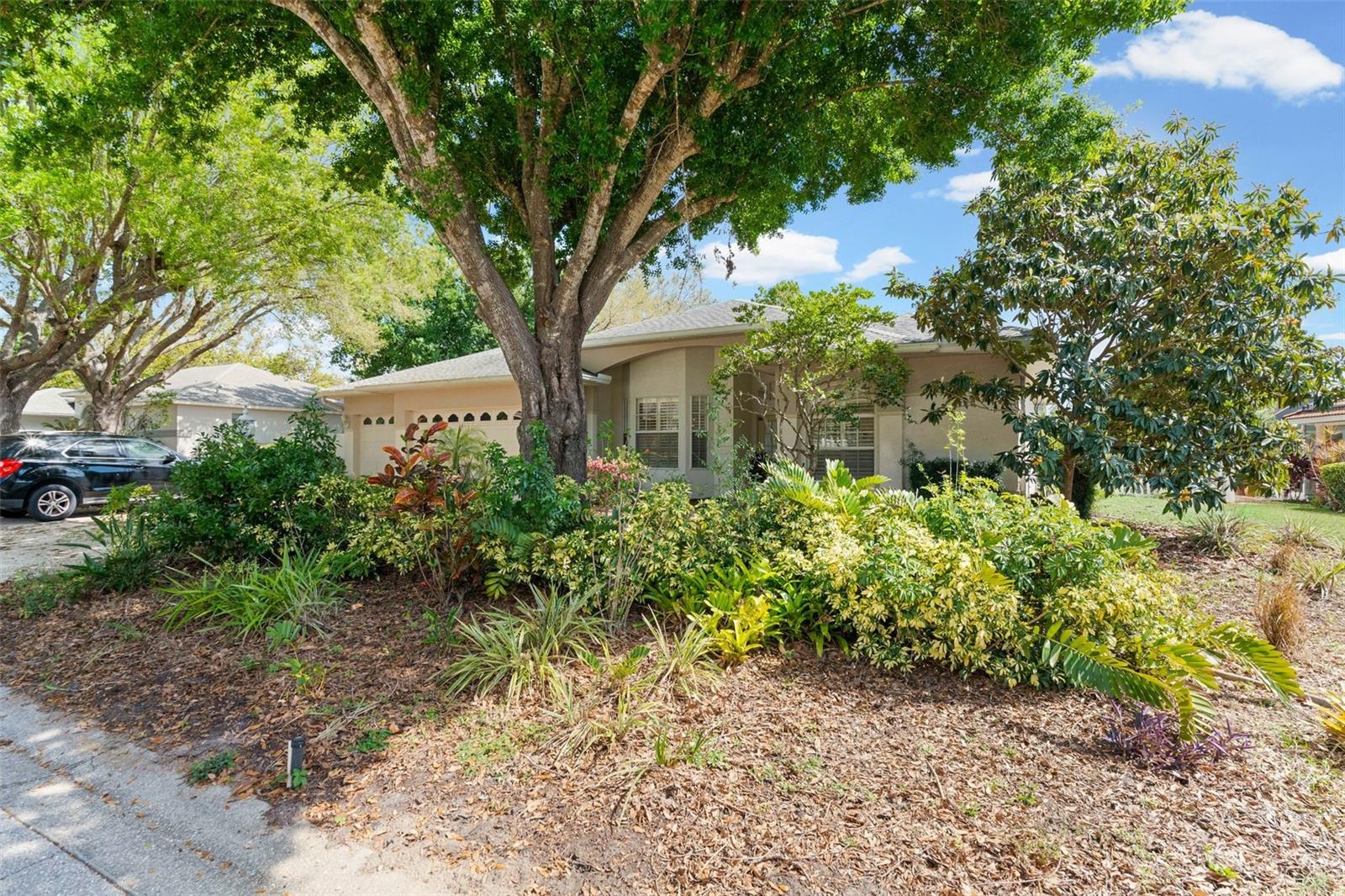 RIVER WOODS PH II - Residential