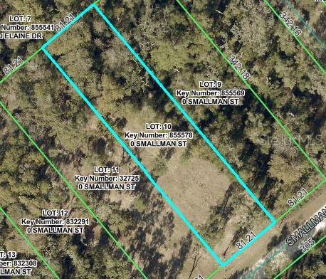 Photo of Smallman Street, Webster, FL 33597 (MLS # TB8439896)